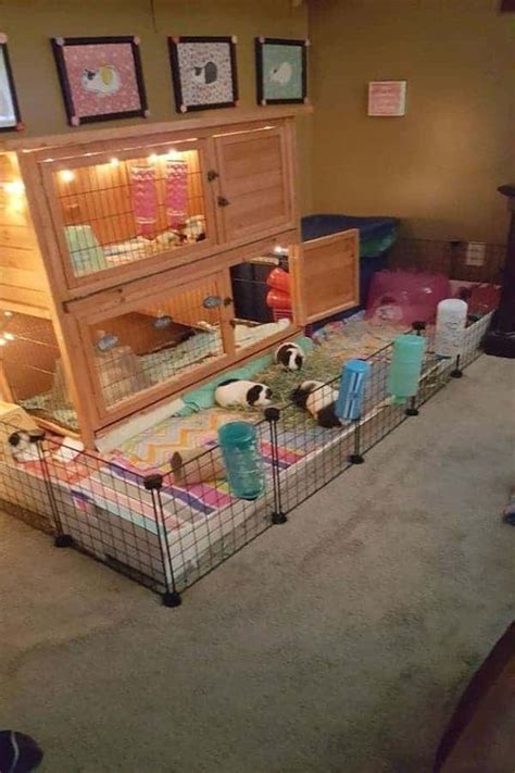 15 Easy DIY Guinea Pig Cage Ideas SawsHub