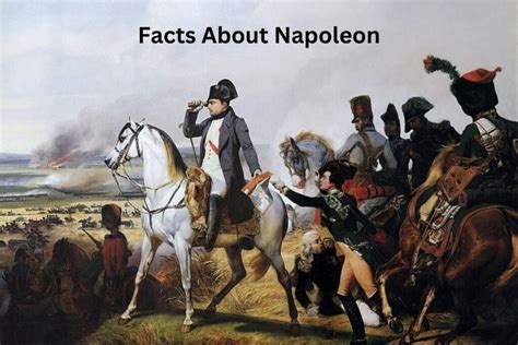 15 Facts About Napoleon - Have Fun With History - wintechmobiles.com