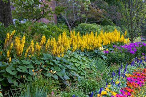 15 Gorgeous Perennials That Thrive in Shade - Country Living - raincitystudios.com