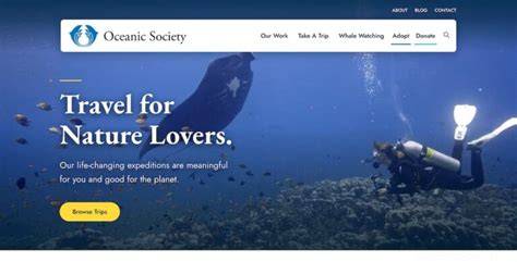 15 Inspiring Ocean Conservation Charities - Charity … - raincitystudios.com