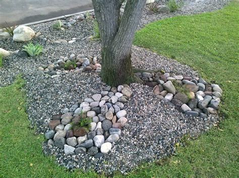 15 Ideas for Landscaping Around Trees