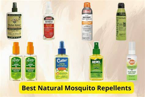 15 Most Effective Natural Insect Repellents and its … - raincitystudios.com