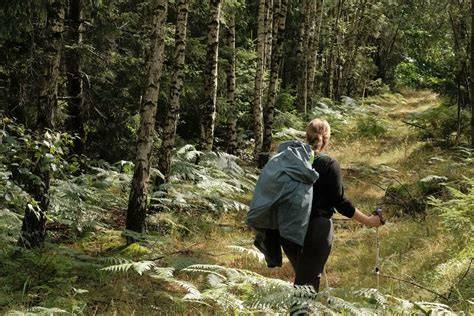15 Places to Visit for Rainforest and Jungle Adventurers - raincitystudios.com