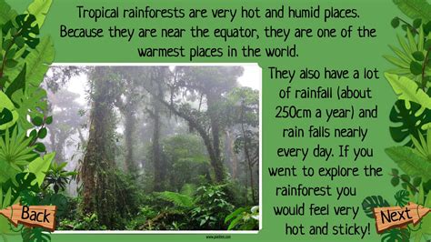 15 rainforest facts | National Geographic Kids - wintechmobiles.com