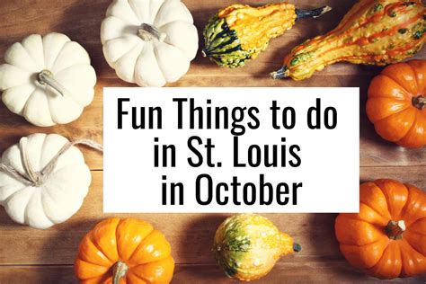 15 Things to Do in St. Louis This October