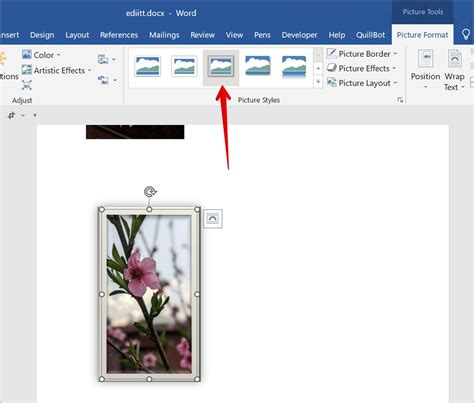 15 Tips to Edit a Picture or Screenshot in Word Document TechWiser