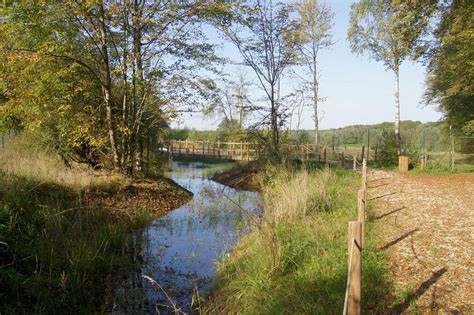 15 Tops Activités et Visites à Piney et dans les environs