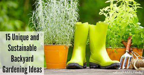 15 Unique and Sustainable Backyard Gardening Ideas - raincitystudios.com