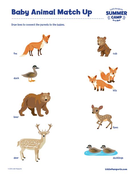 15 Best Baby Animals Matching Printables Printablee Com Animals And Their Babies Matching - Animals And Their Babies Matching