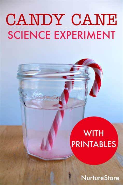 15 Candy Cane Science Experiments Fun Holiday Hands Candy Science Experiment - Candy Science Experiment