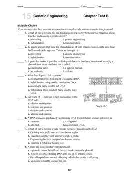 15 Genetic Engineering Test B Multiple Choice