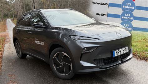 15 smarta id&eacute;er om var man ska plantera jordgubbar