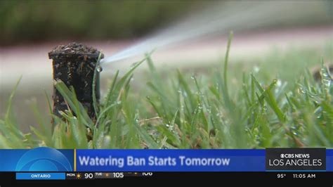 15-day watering ban begins today for parts of L.A. County - MSN