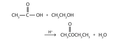 15.8: Preparation of Esters - Chemistry LibreTexts - wintechmobiles.com