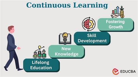 15.Continuous Learning and Adaptation