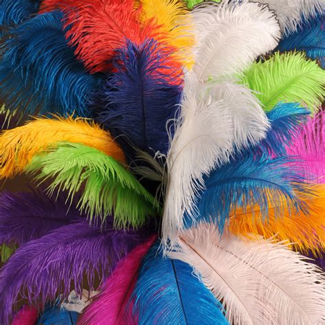 150 Pcs Natural Ostrich Feathers Bulk 10-12 Inch Ostrich Plumes ...