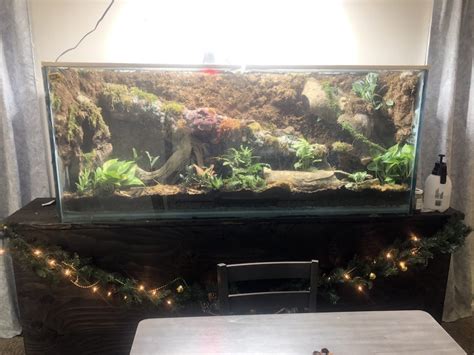 150 gallon reptile tank. Things To Know About 150 gallon reptile tank. 
