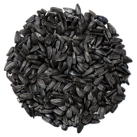 151 Sunflower Bird Seed Premium High Res Photos