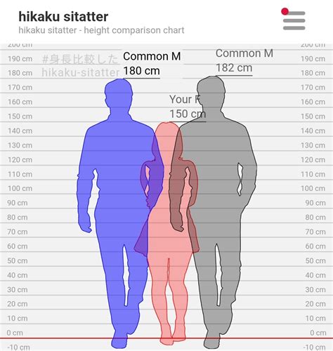 151cm To Feet