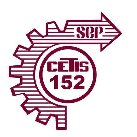 152 Halı ve Koltuk Yıkama