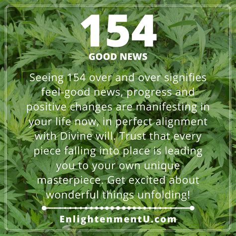 154 Halı ve Koltuk Yıkama