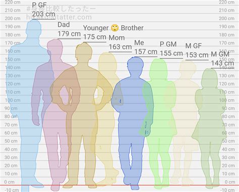 155cm In Ft
