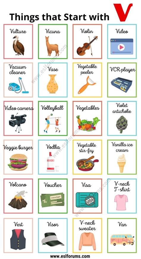 157 Fabulous Things that Start with V ESL Forums