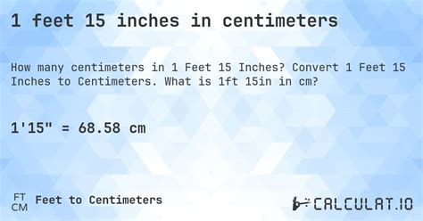 15in To Cm