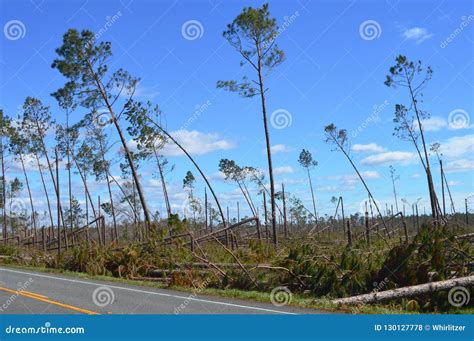 16,180 Hurricane Damage Stock Photos - Dreamstime