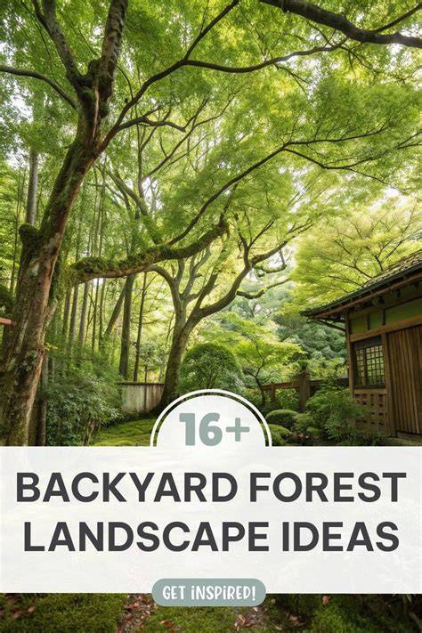 16+ Inspiring Backyard Forest Landscape Ideas - raincitystudios.com