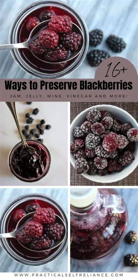 16+ Ways to Preserve Blackberries - Practical Self … - raincitystudios.com