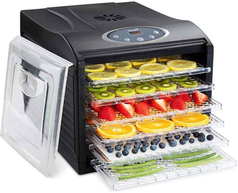 16 Best Food Dehydrator for Herbs, Fruit, Jerky,