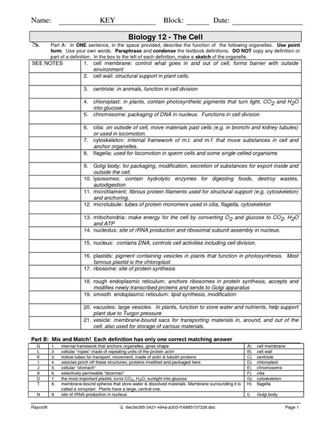 16 Cell Structure And Function Worksheet Answers /