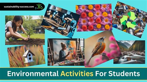 16 Environmental Activities for Students to Encourage … - raincitystudios.com