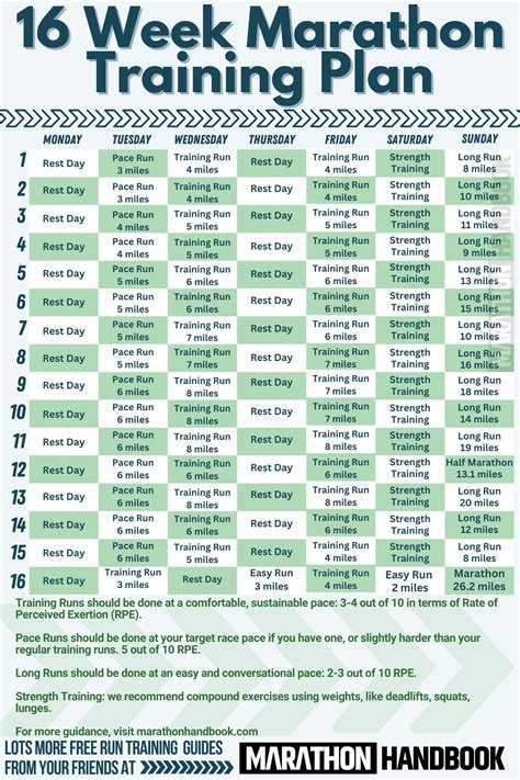 16 Week Marathon Training Plan to Go the Distance - Women