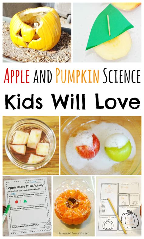 16 Apple Amp Pumpkin Science Activities Raising Lifelong Science Activities With Pumpkins - Science Activities With Pumpkins