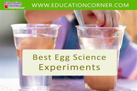 16 Best Egg Science Experiments Education Corner Science Eggs - Science Eggs