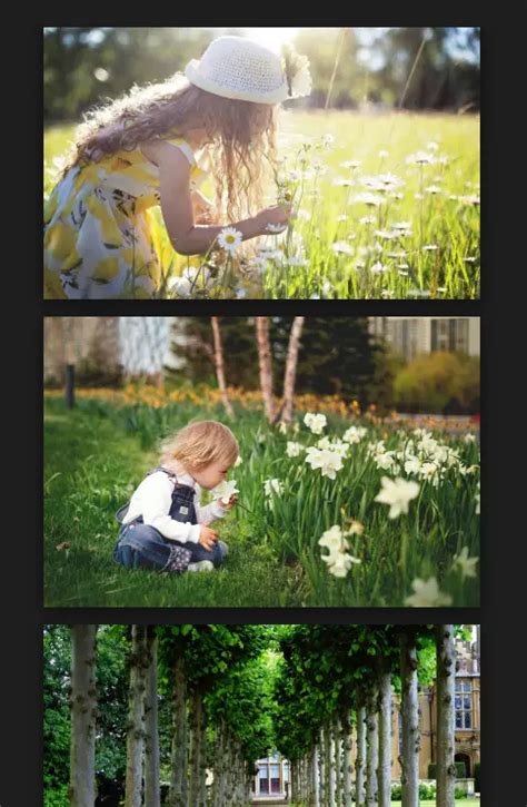 16 bit tiff sample image. 4mb.  Get free sample TIFF files to ensure compati...