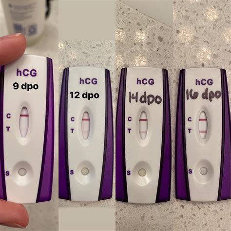 16 dpo: 88.9%: 11.1%: standard: 17 dpo: 90.2%: 9.8%: strong: 18 dpo: 91.9%: 8.1%: strong . Advertisement . Accuracy. For pregnant women, this brand starts to give positive results for more than 80% by 11 days past ovulation. This means that at least 4 out of 5 pregnant women will get a positive result on 11 dpo or later. ... Only pregnancy test .... 
