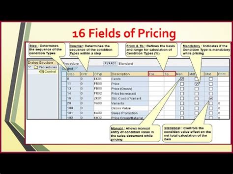 16 Fields In Mm Pricing Procedure