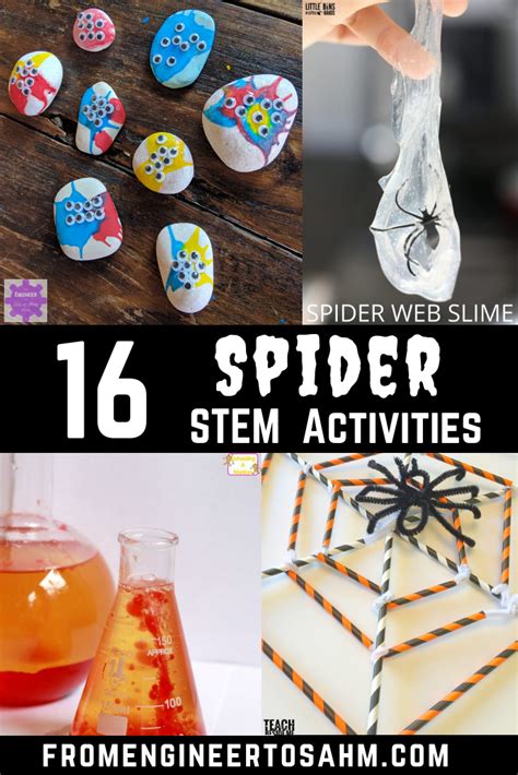 16 Spider Stem Activities And Science Experiments Spider Science Activities For Preschoolers - Spider Science Activities For Preschoolers