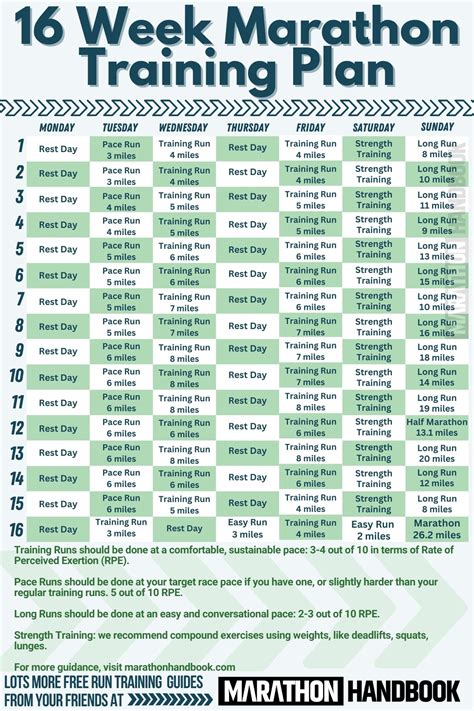 16 week marathon training plan. You now do your cross-training on Mondays, instead of taking the day off. Incidentally, Intermediate 2 is the ideal training program for those doing the popular “Goofy” run at the Walt Disney World Marathon, where you run a half on Saturday followed by a full marathon on Sunday. This program’s 10-mile pace run followed by a 20-mile long ... 