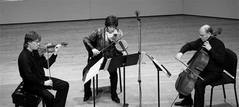 Full Download 16 Strings String Trio Repertoire List 