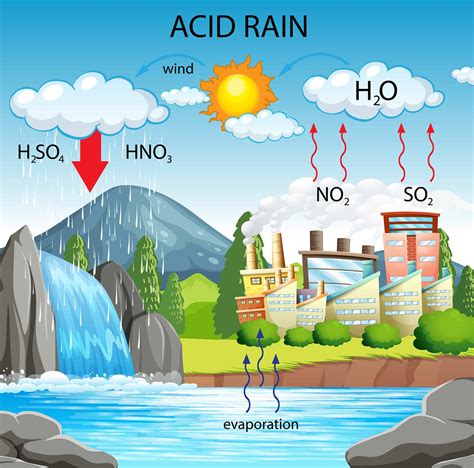 16.13: Acid Rain - Chemistry LibreTexts - wintechmobiles.com