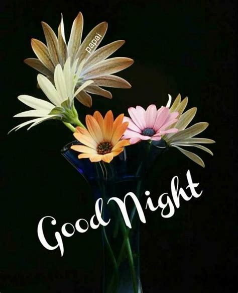 160 Best Good Night Flowers Ideas Good Night Beautiful Flowers Good Night - Beautiful Flowers Good Night