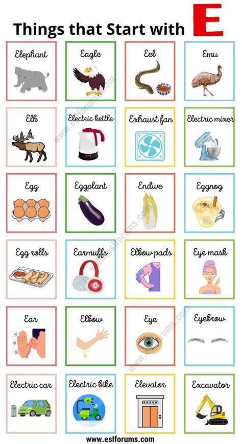 160 Nice Things That Start With E E E For Words For Kids - E For Words For Kids