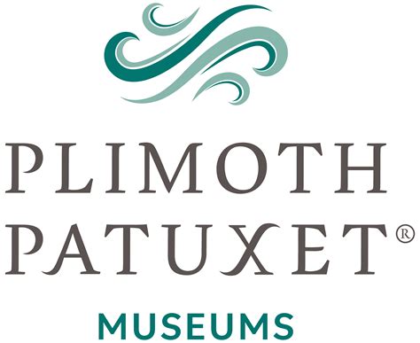 1621 Halı ve Koltuk Yıkama