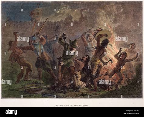 1637 Halı ve Koltuk Yıkama