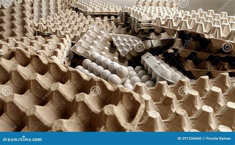 164 Recycle Egg Cartons Stock Photos - Dreamstime - raincitystudios.com