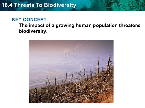 164 threats to biodiversity study guide answer key. - Wrt160nv3 dd wrt guida al manuale.